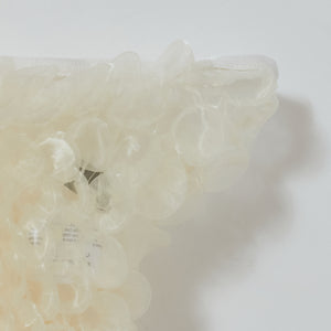 ボタタンブルマパンツ