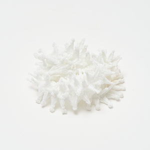 ツンツンの細幅ダブルネックレス