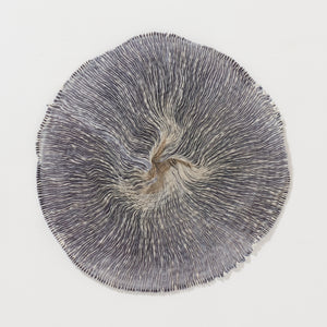 Wavy Silk Circular Scarf